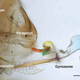 Illustration for article titled Scientists Discover the Gynosome, a New Kind of Sexual Organ